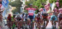      Giant - Alpecin